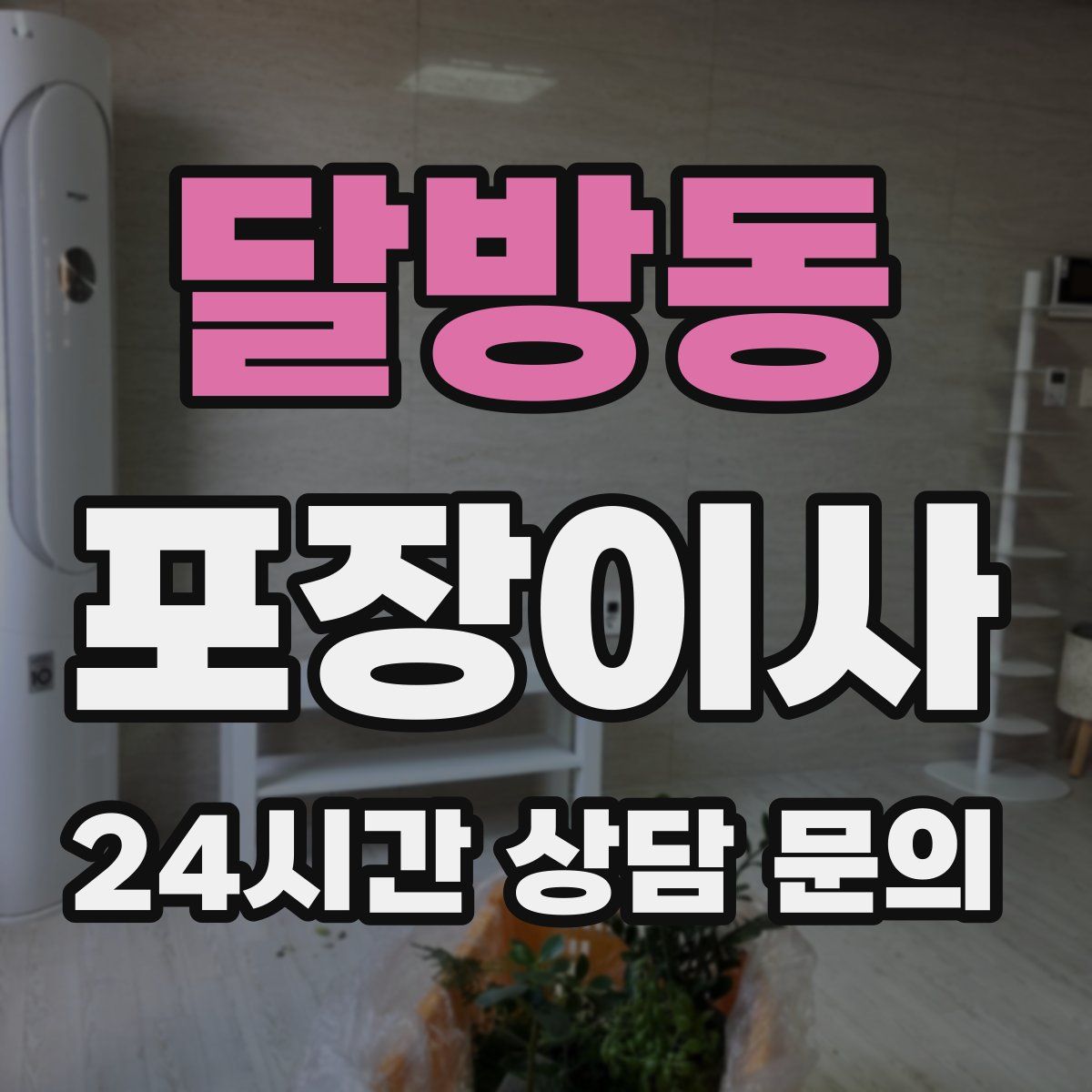 달방동 포장이사