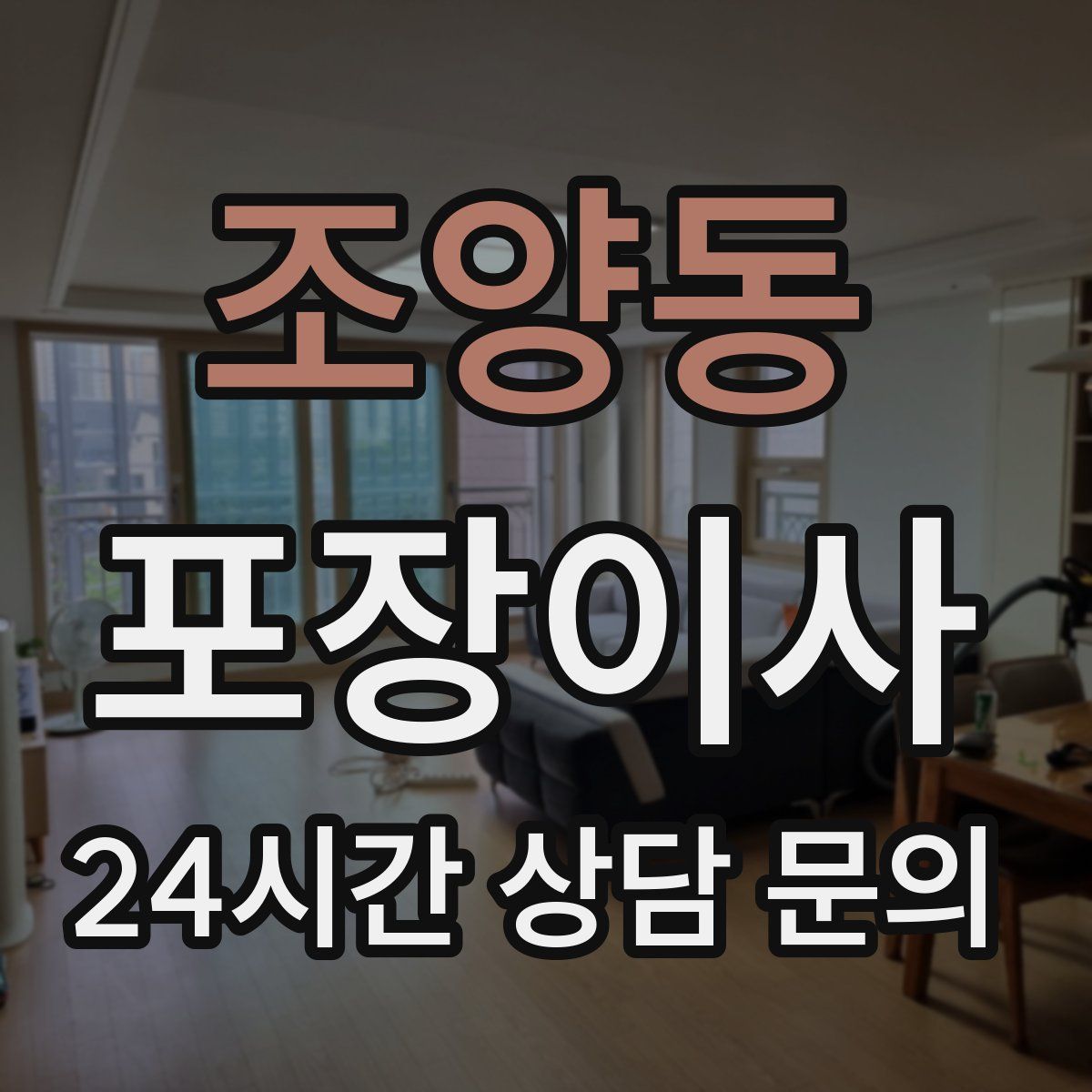 조양동 포장이사