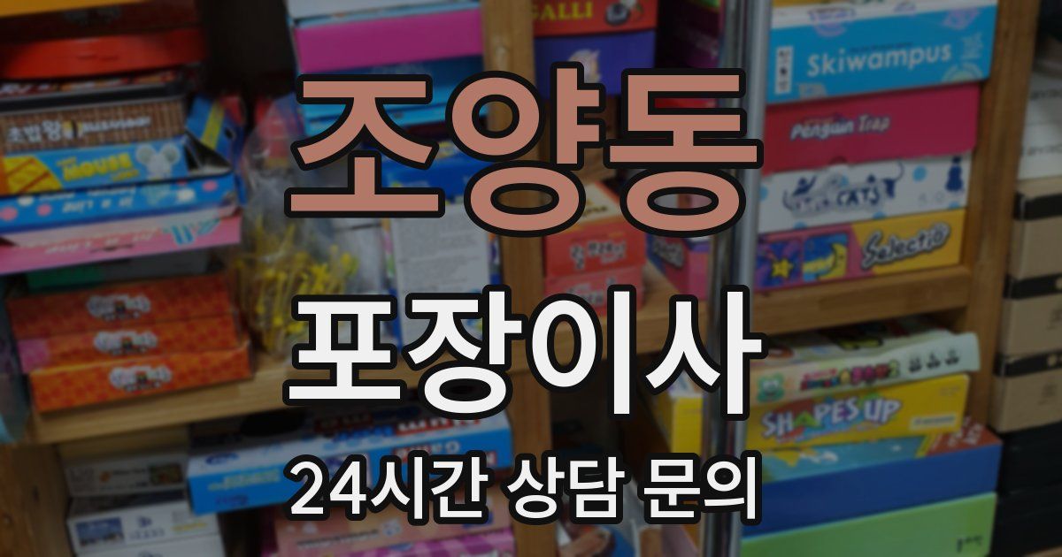 조양동 포장이사