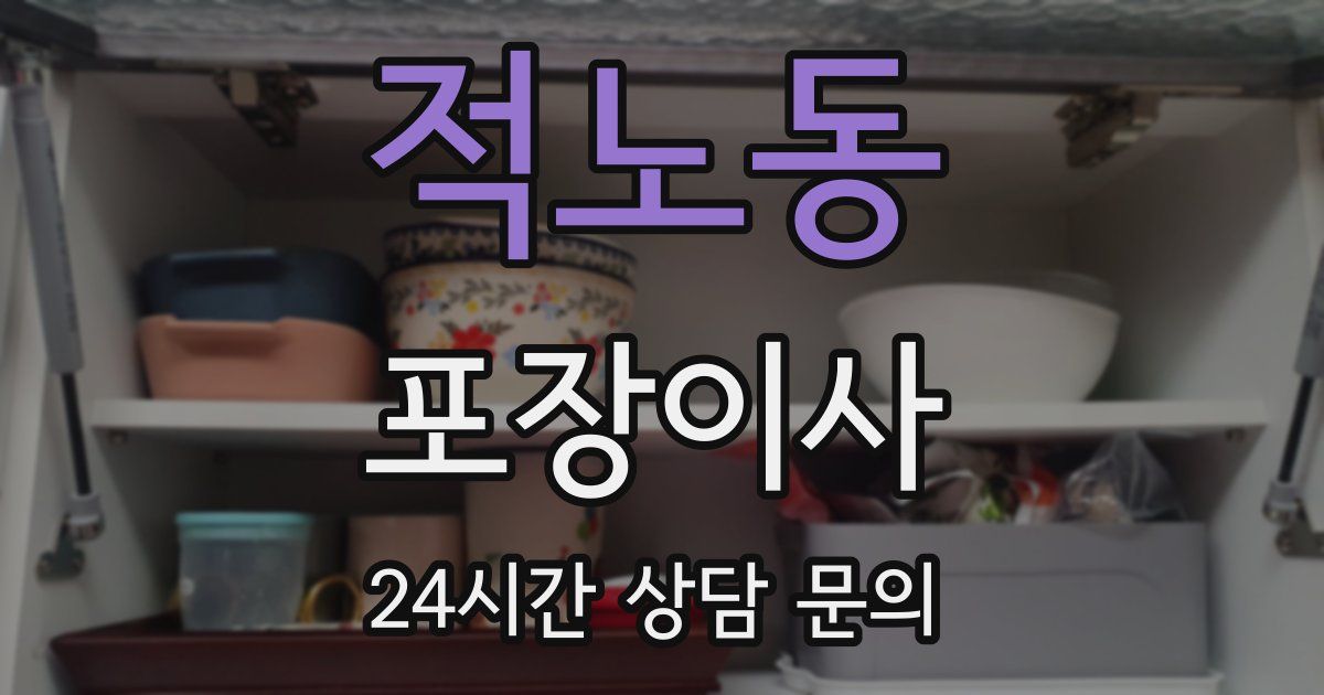 적노동 포장이사