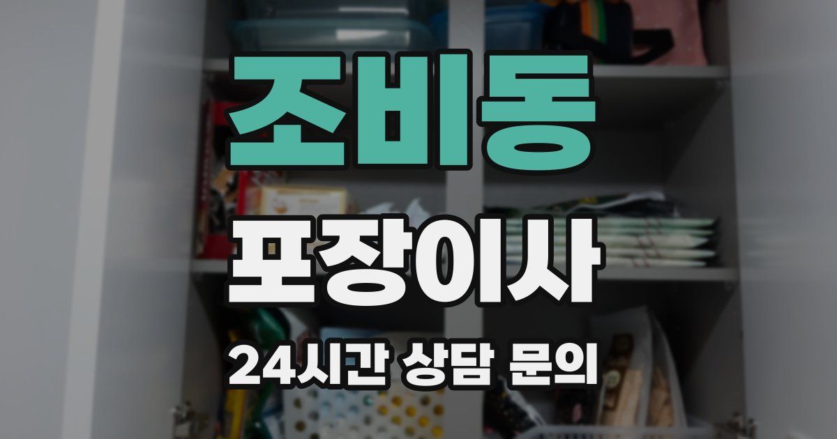 조비동 포장이사