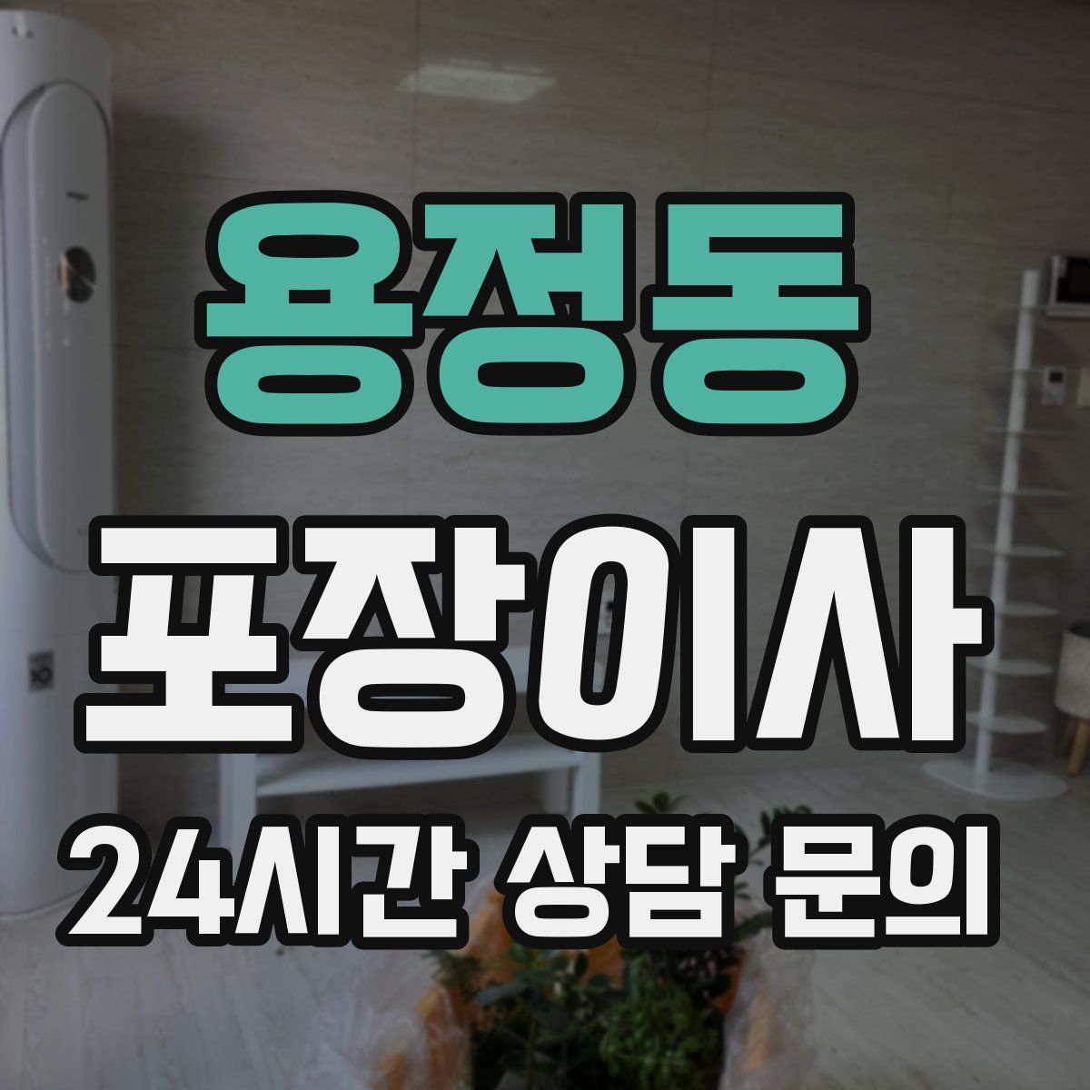 용정동 포장이사