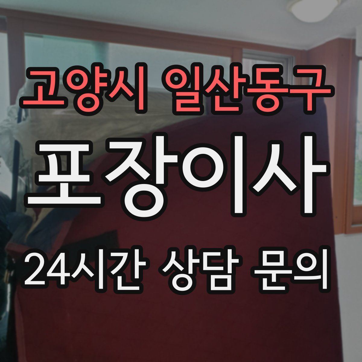 고양시 일산동구 포장이사