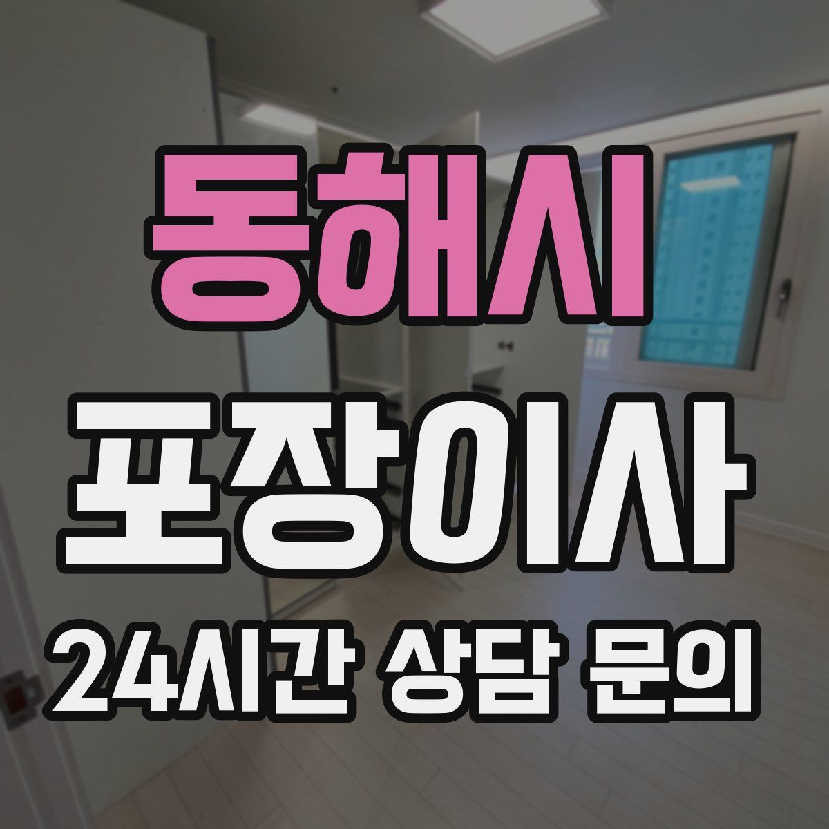 동해시 포장이사