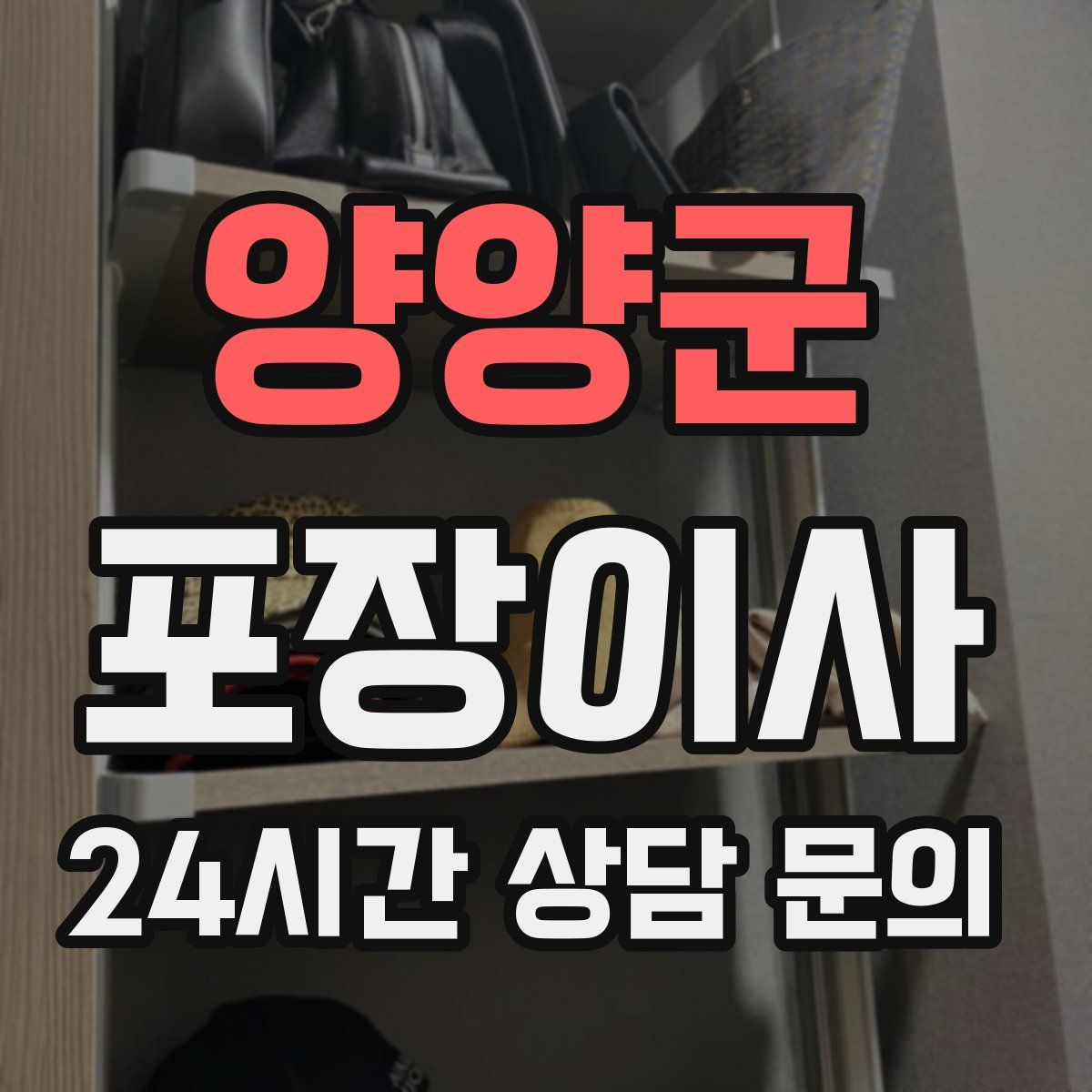 양양군 포장이사