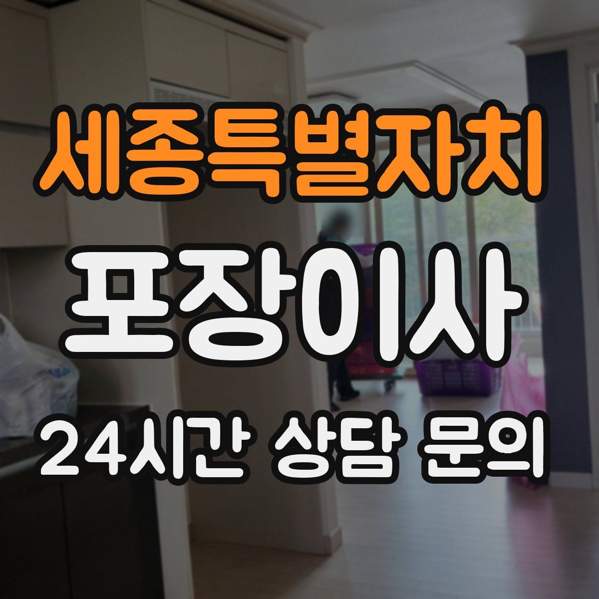 세종특별자치 포장이사