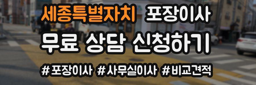 세종특별자치 포장이사