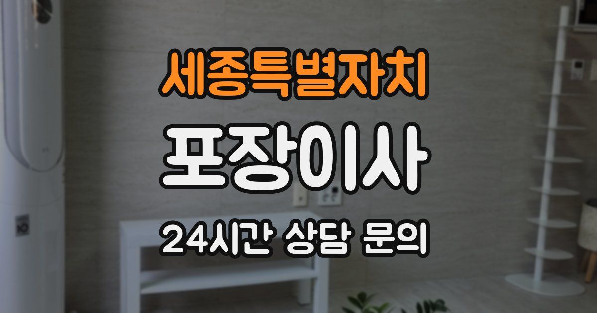 세종특별자치 포장이사