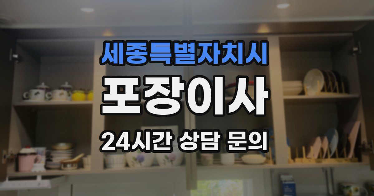 세종특별자치시 포장이사