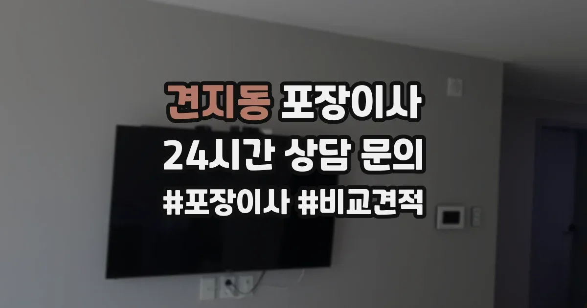 견지동 포장이사