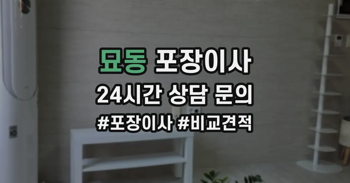 묘동 포장이사
