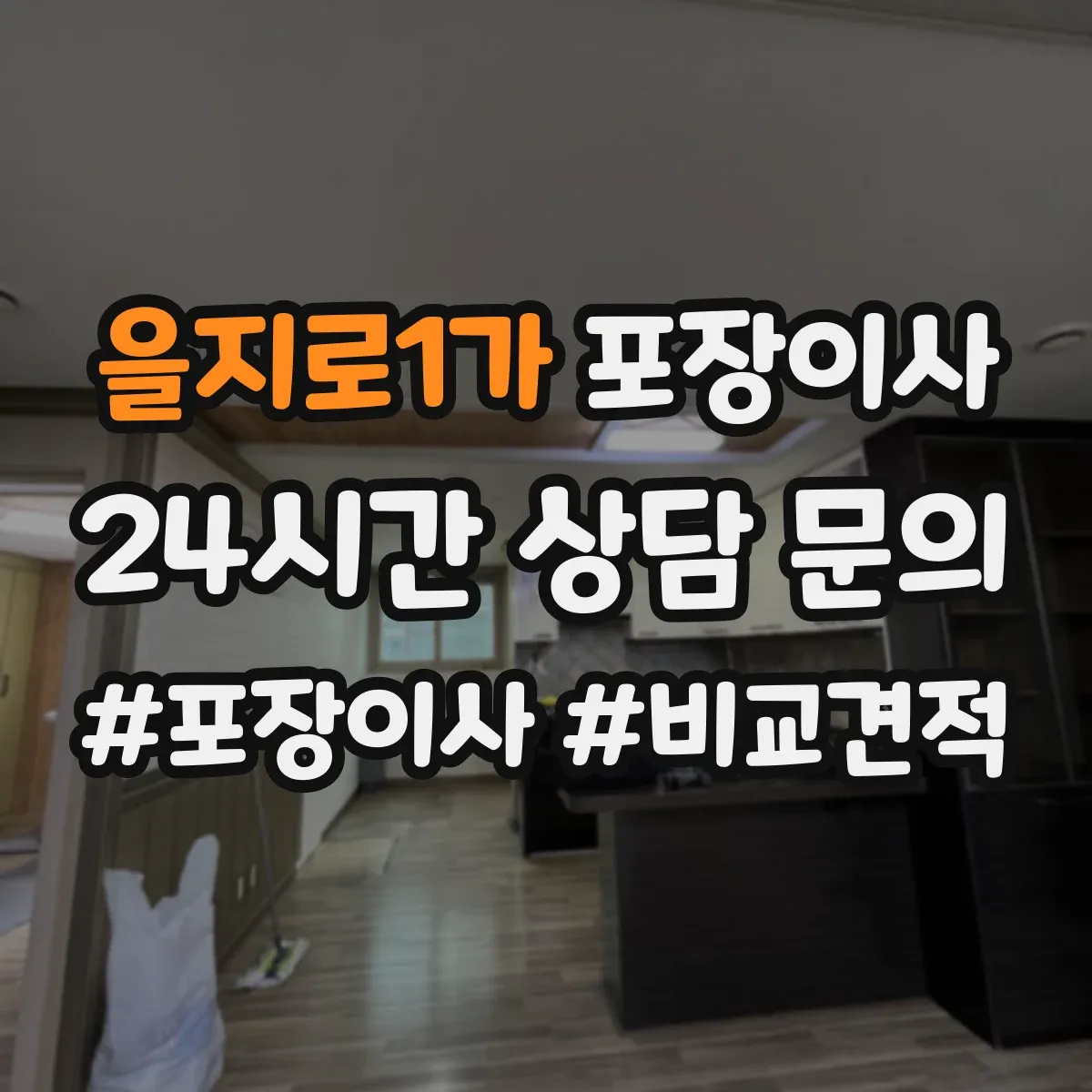 을지로1가 포장이사