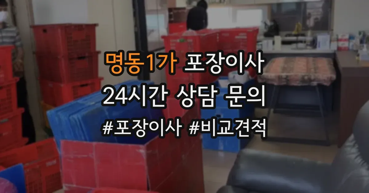 명동1가 포장이사