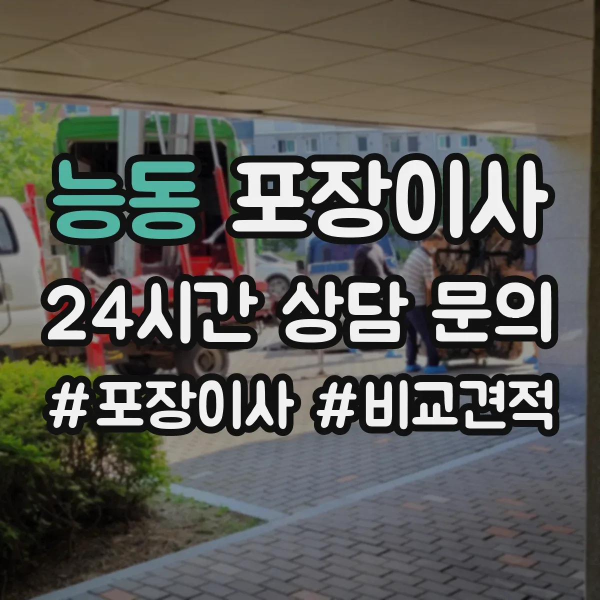 능동 포장이사