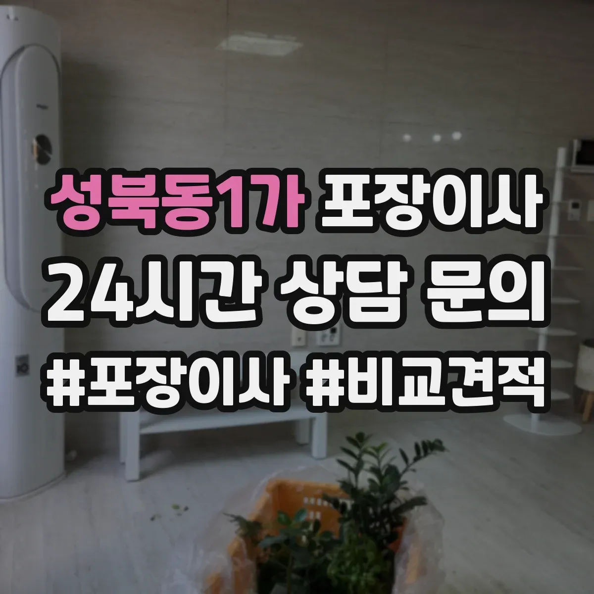 성북동1가 포장이사