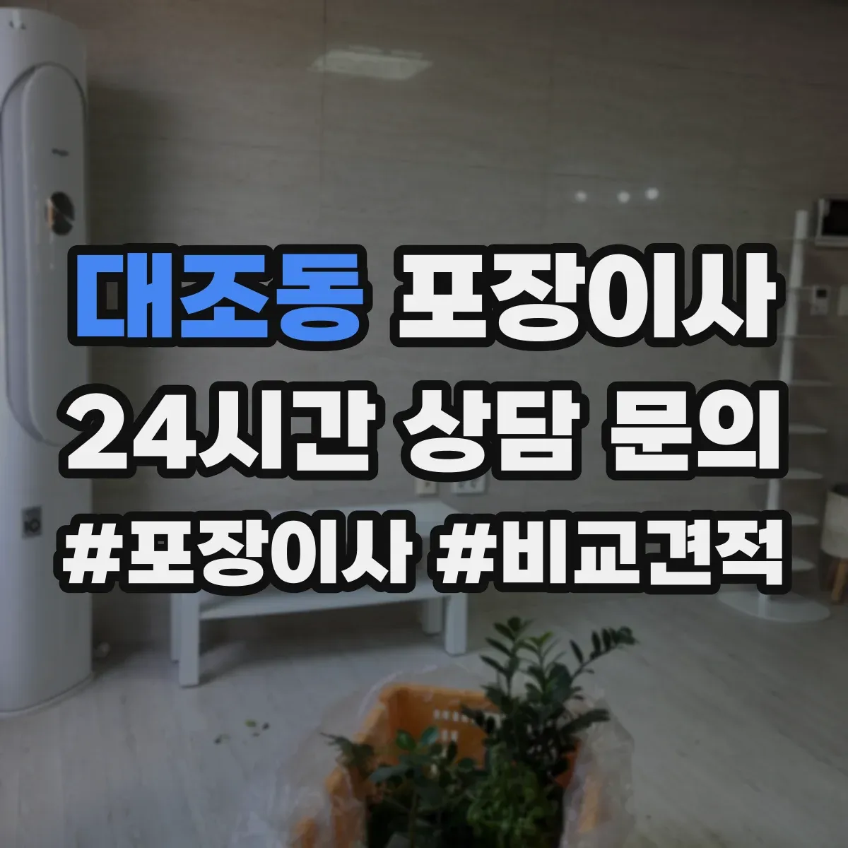 대조동 포장이사