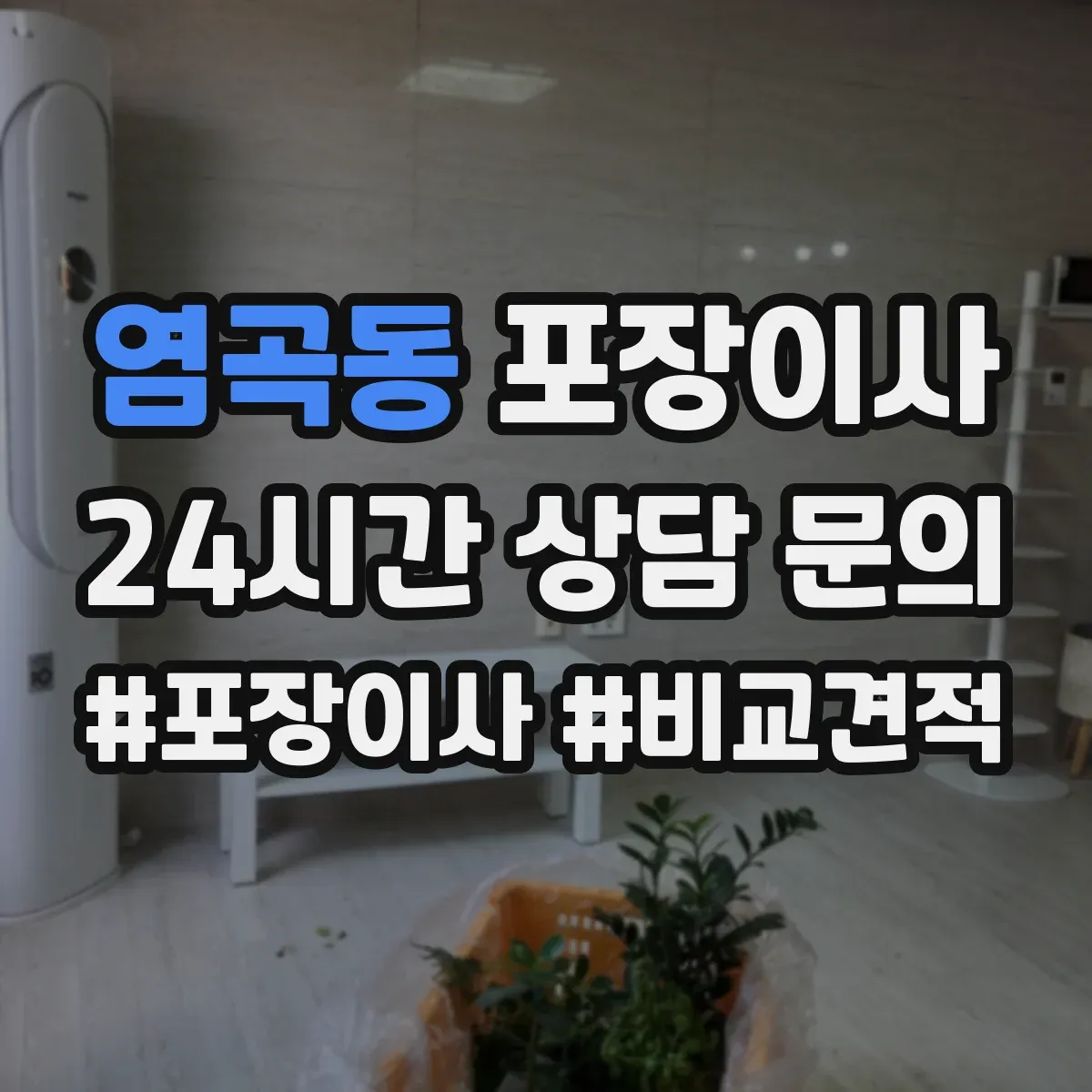 염곡동 포장이사