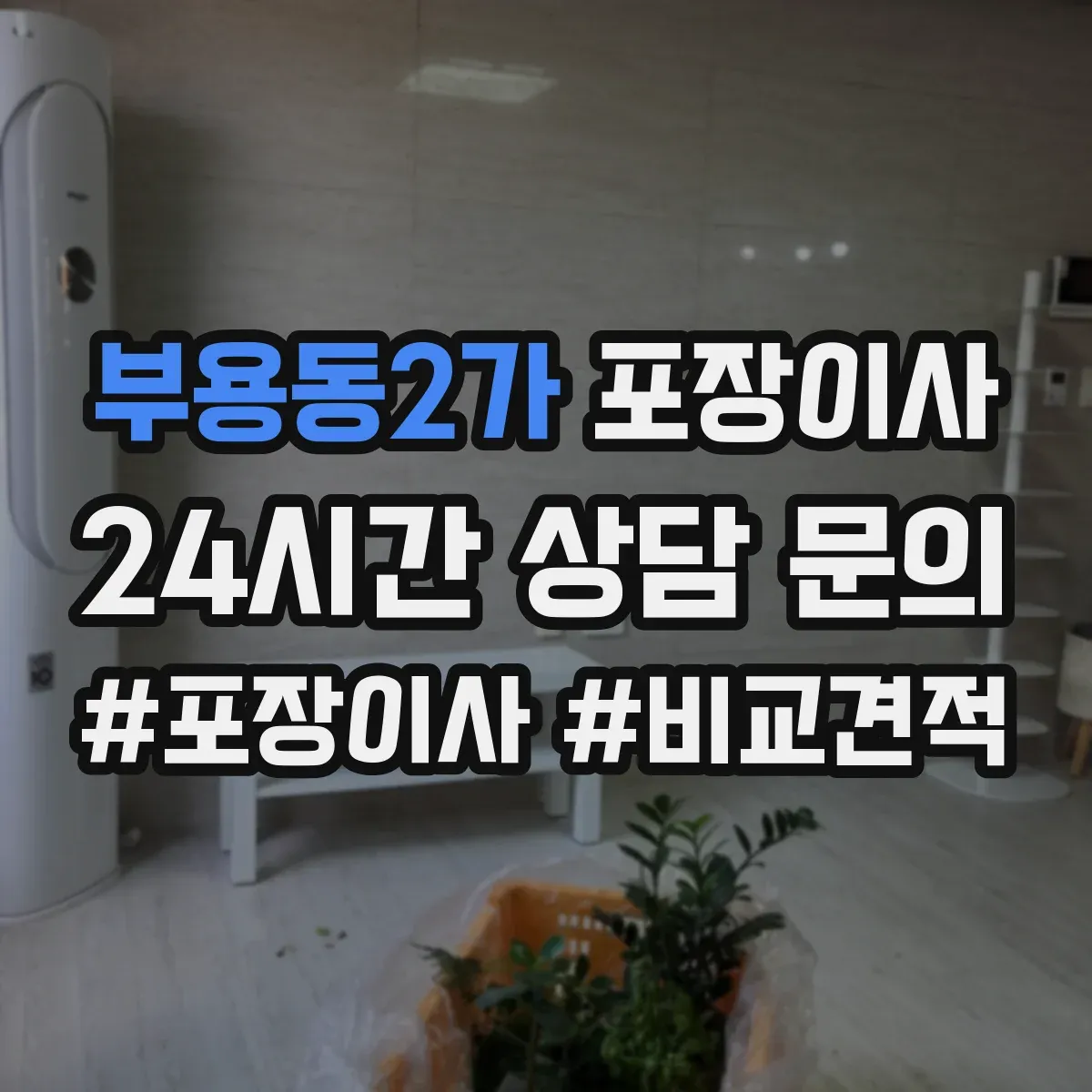 부용동2가 포장이사