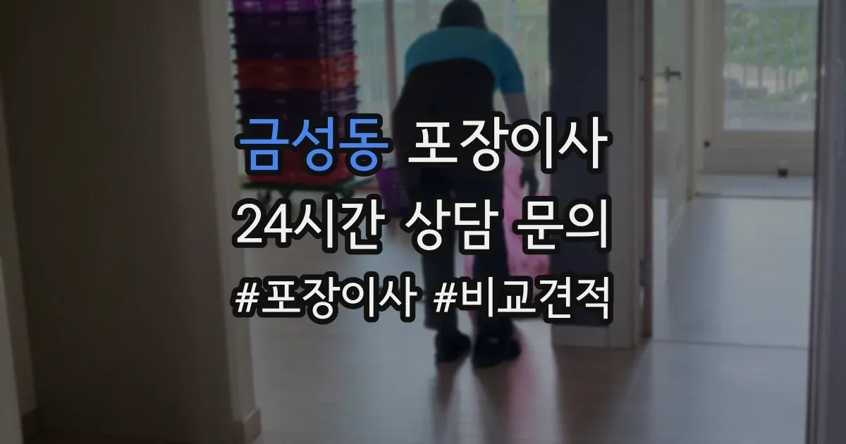 금성동 포장이사