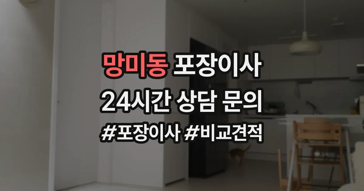 망미동 포장이사