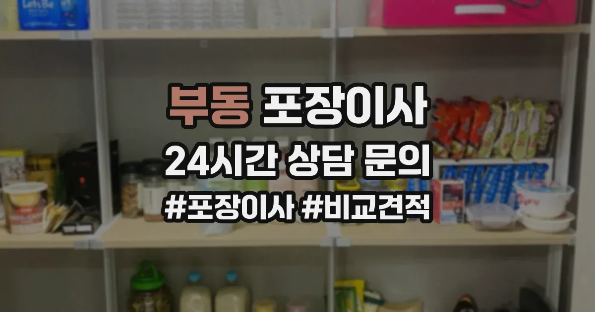 부동 포장이사