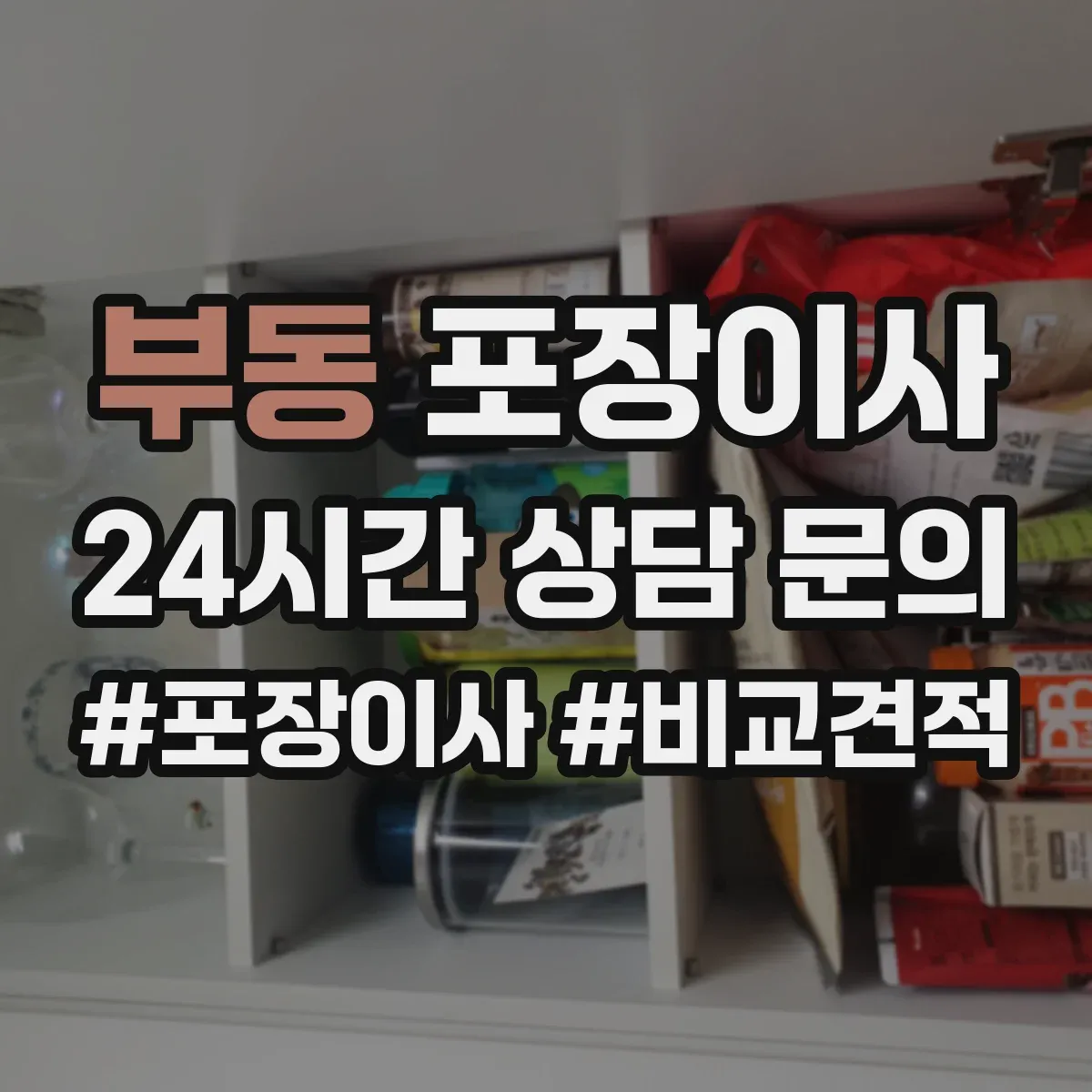부동 포장이사