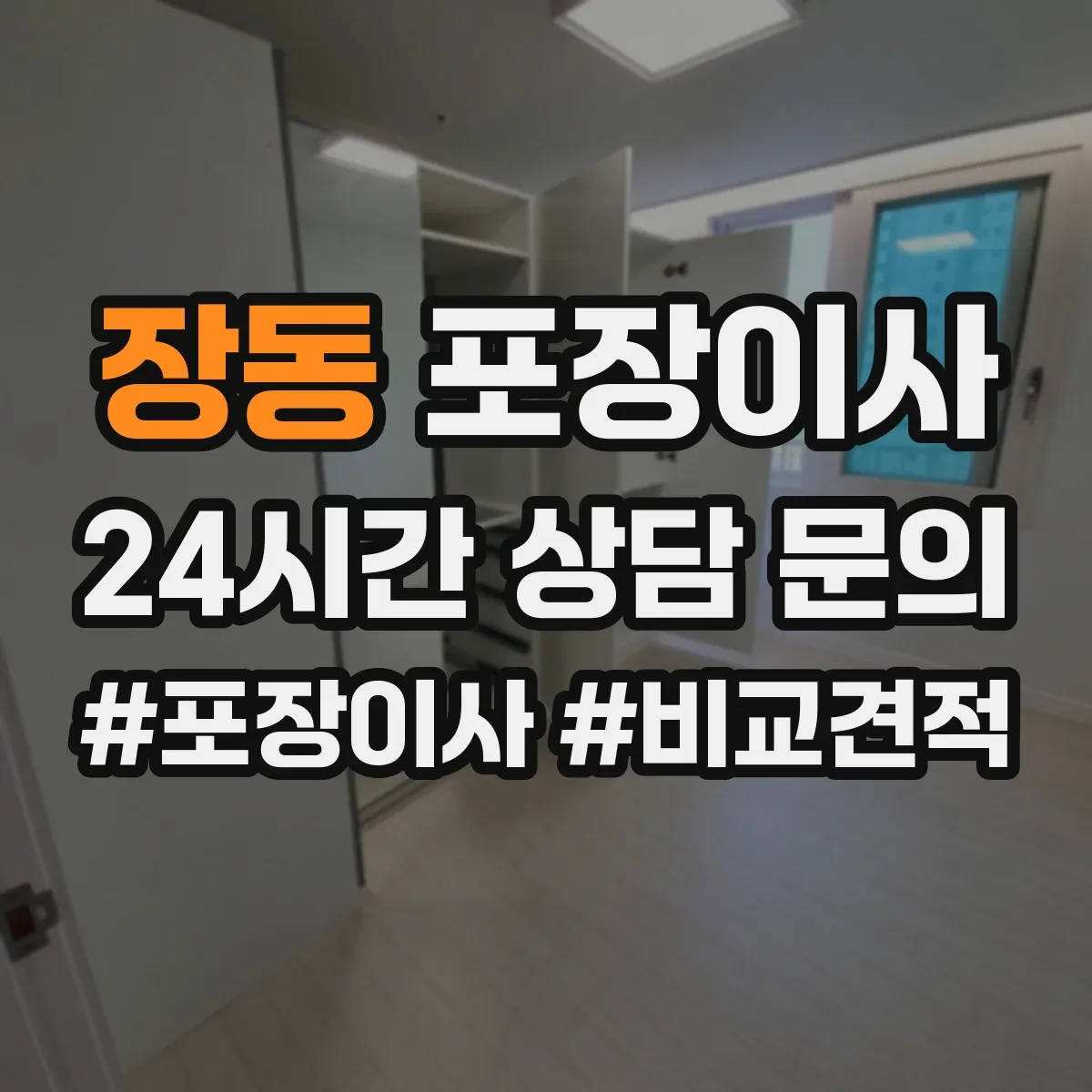 장동 포장이사