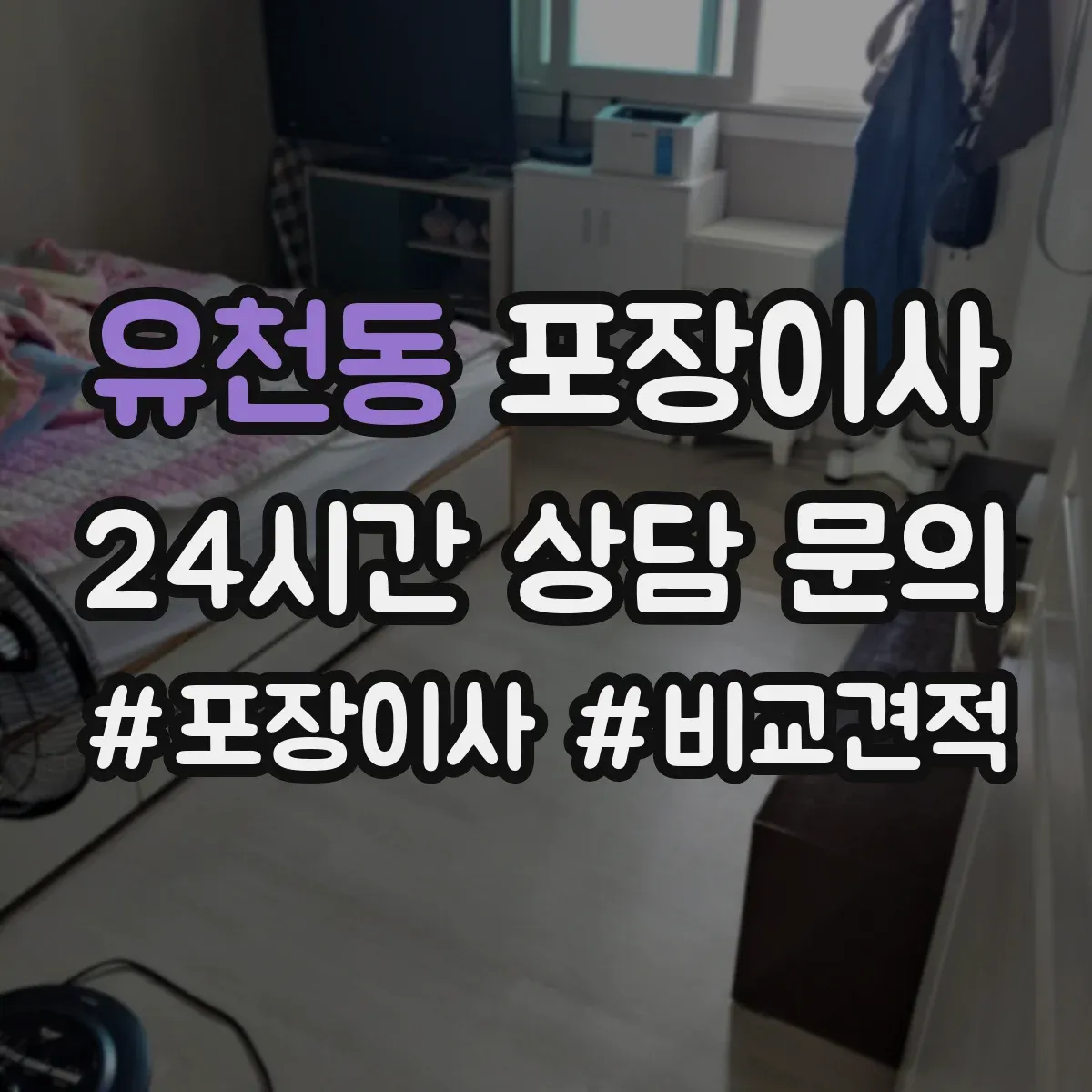 유천동 포장이사
