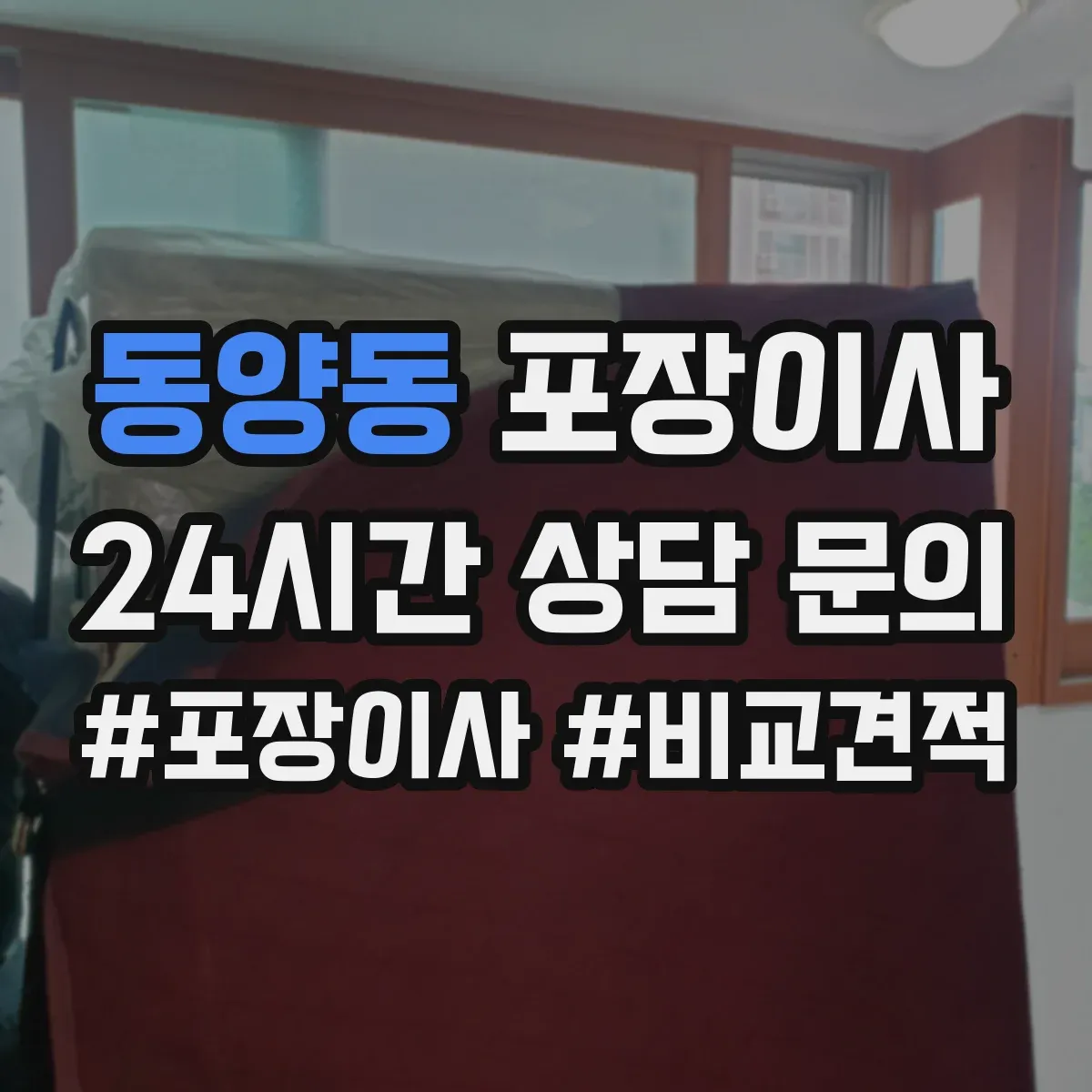 동양동 포장이사