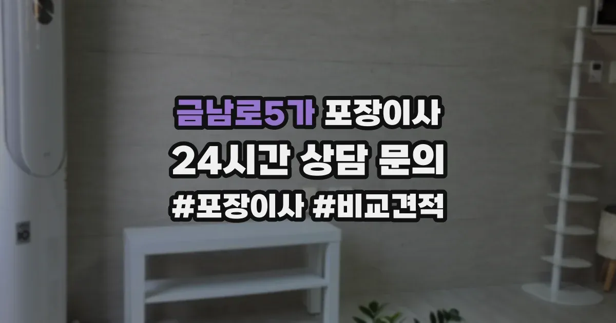 금남로5가 포장이사