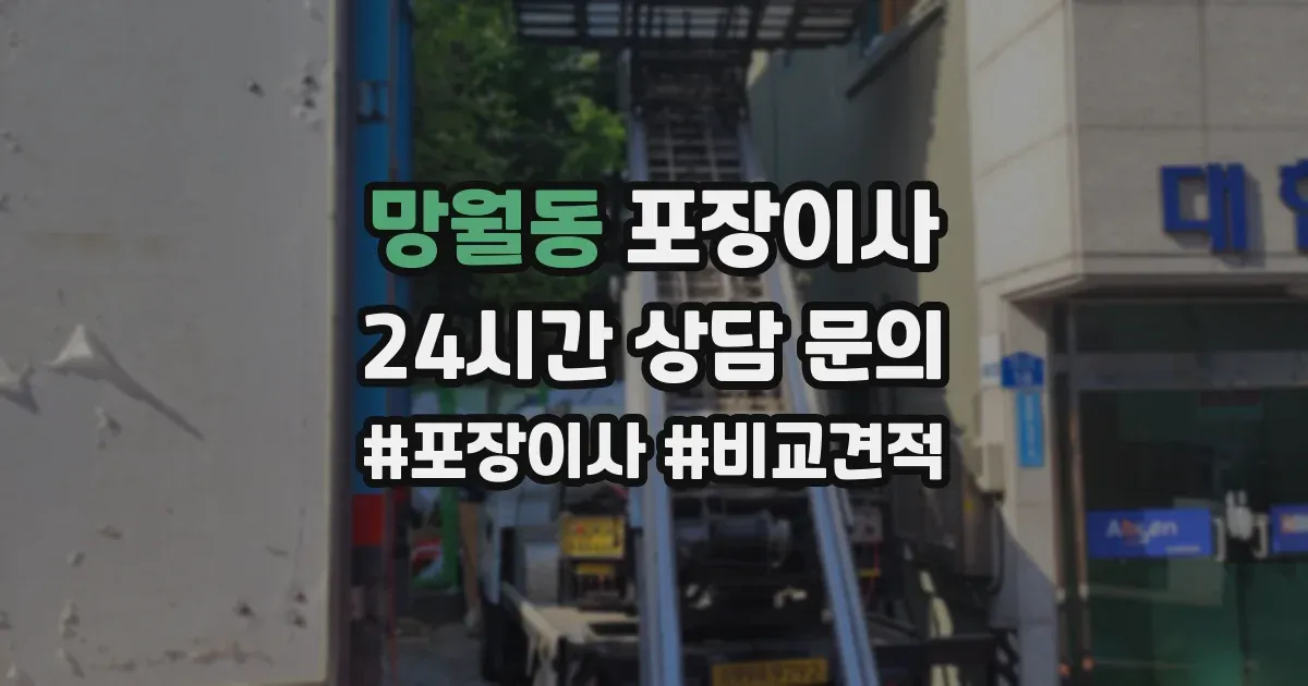 망월동 포장이사