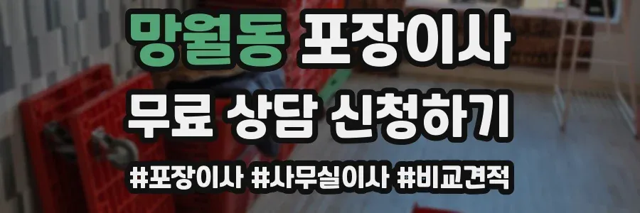 망월동 포장이사