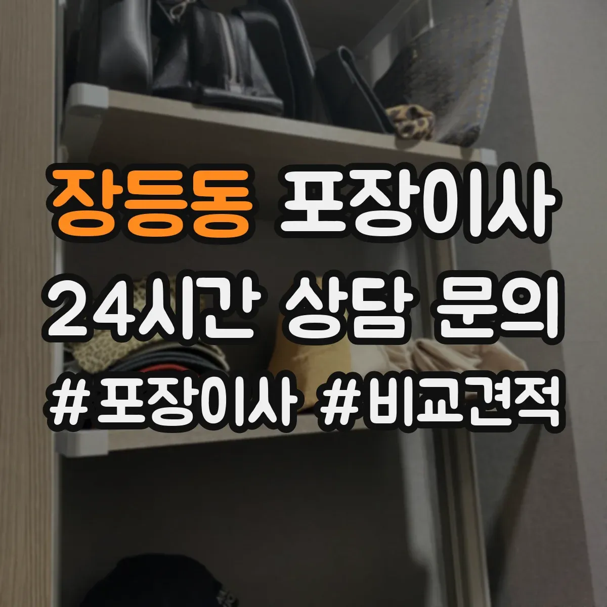 장등동 포장이사