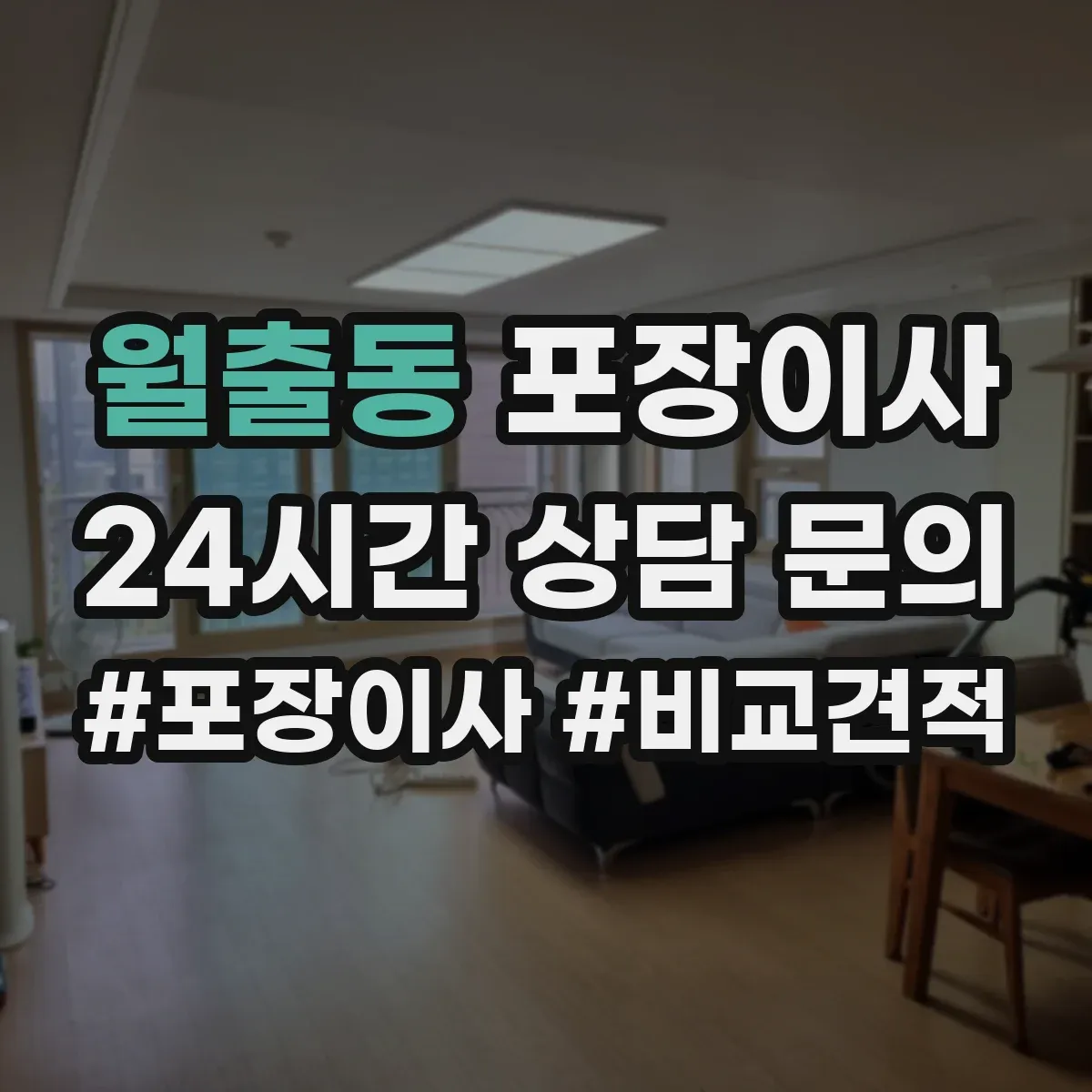 월출동 포장이사