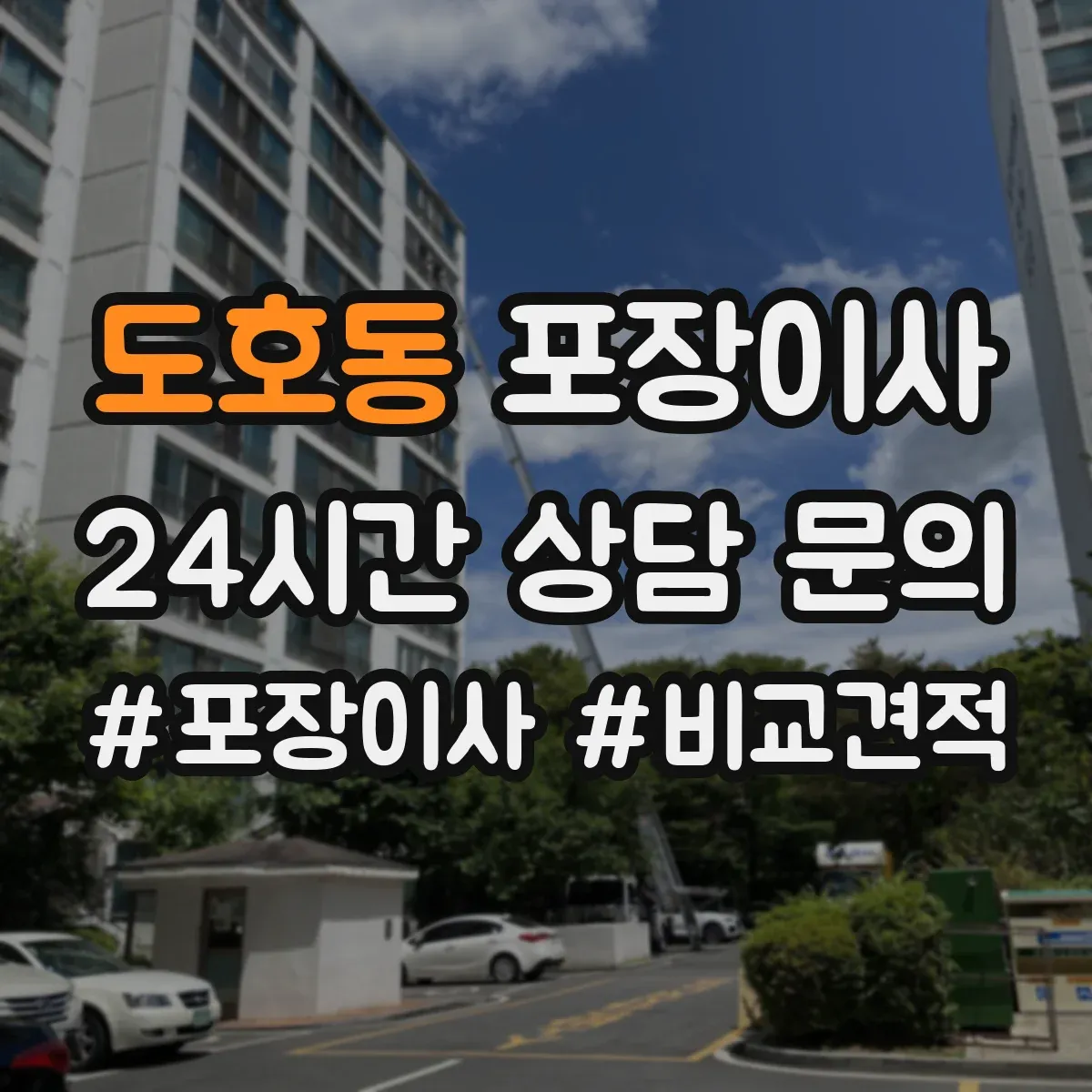 도호동 포장이사