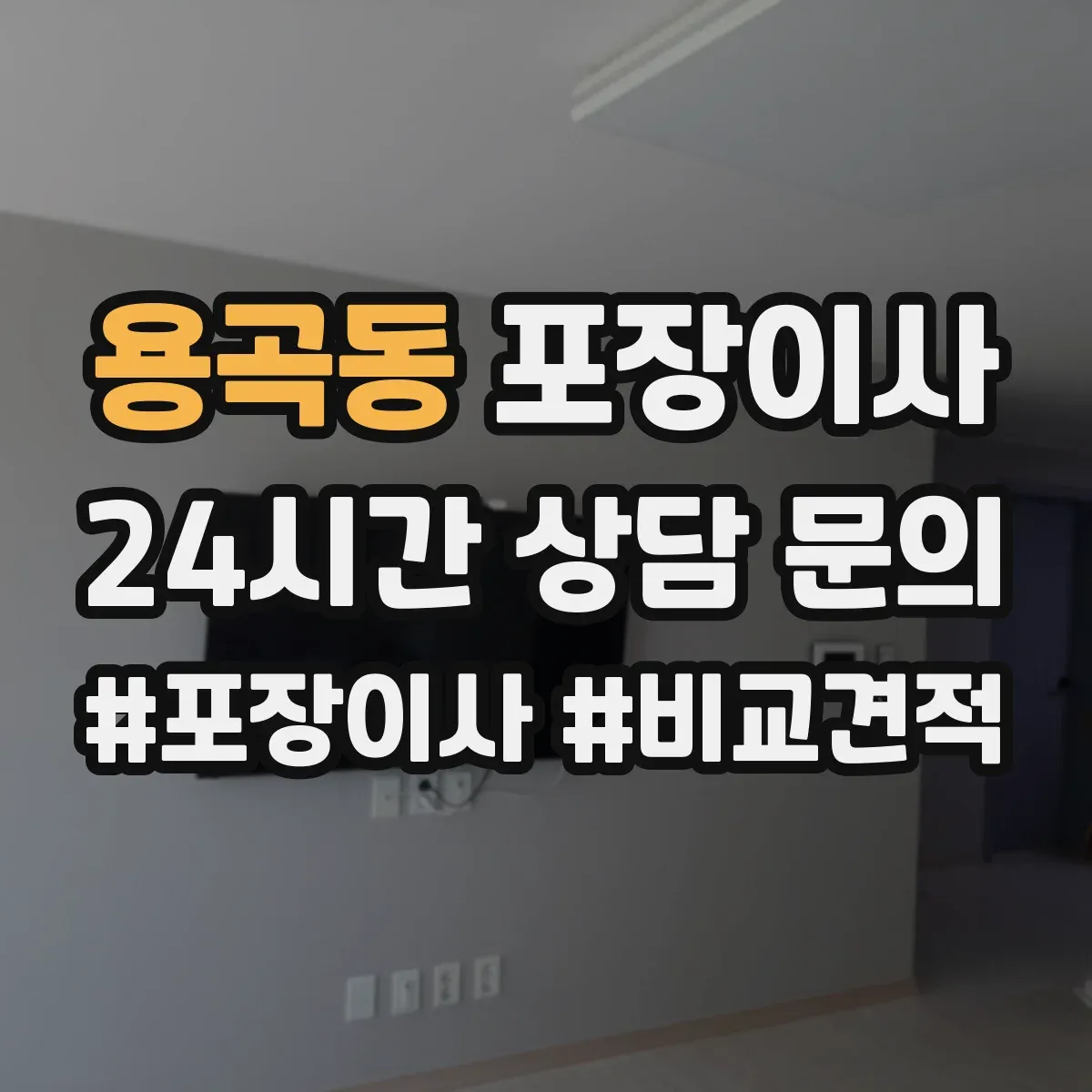 용곡동 포장이사