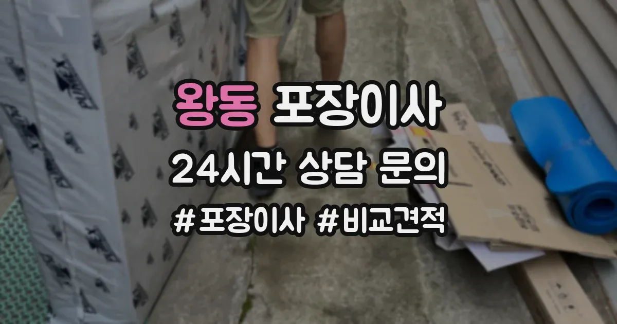 왕동 포장이사