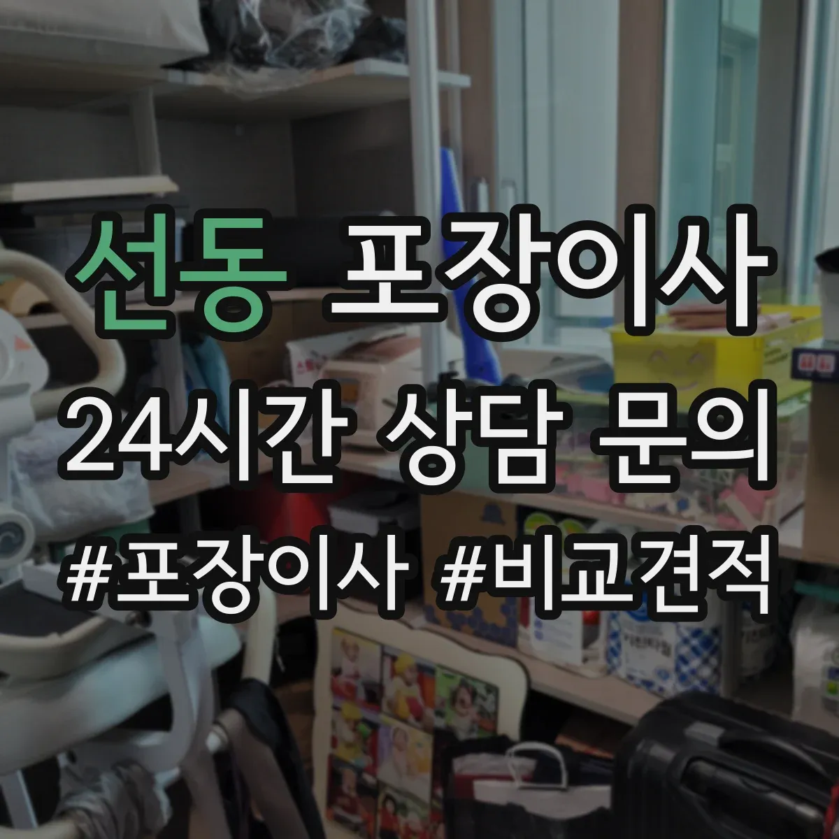 선동 포장이사