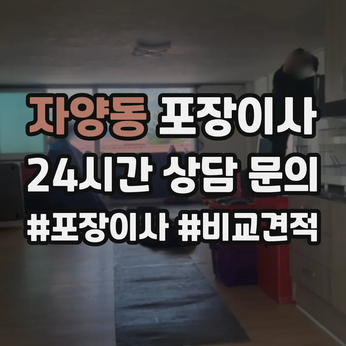 자양동 포장이사