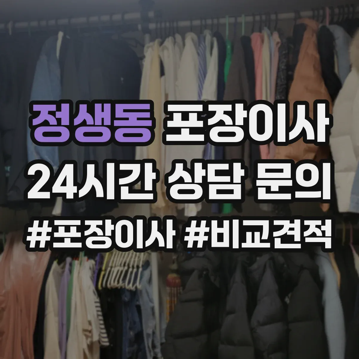 정생동 포장이사