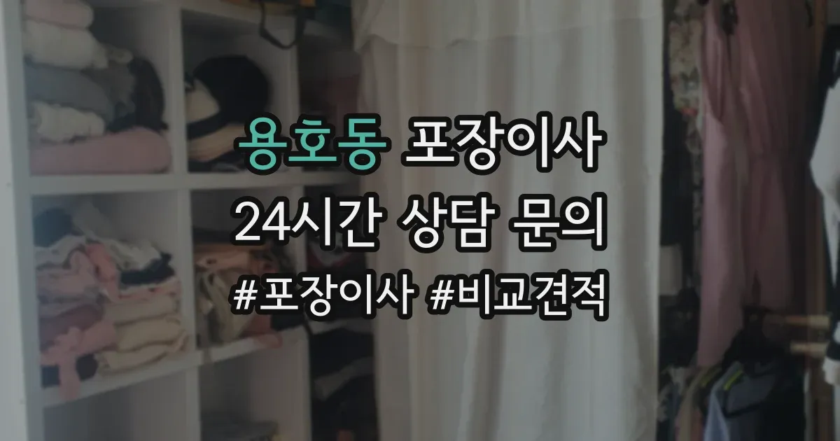 용호동 포장이사