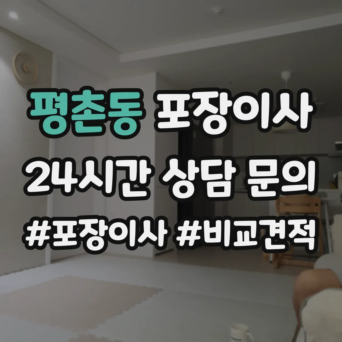 평촌동 포장이사