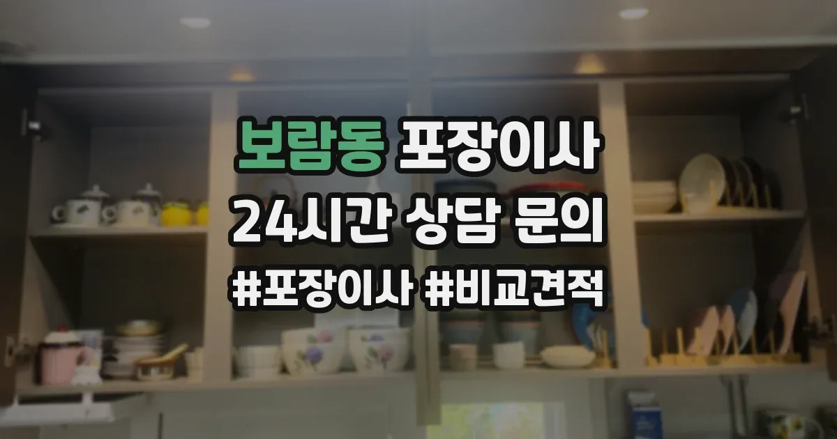 보람동 포장이사