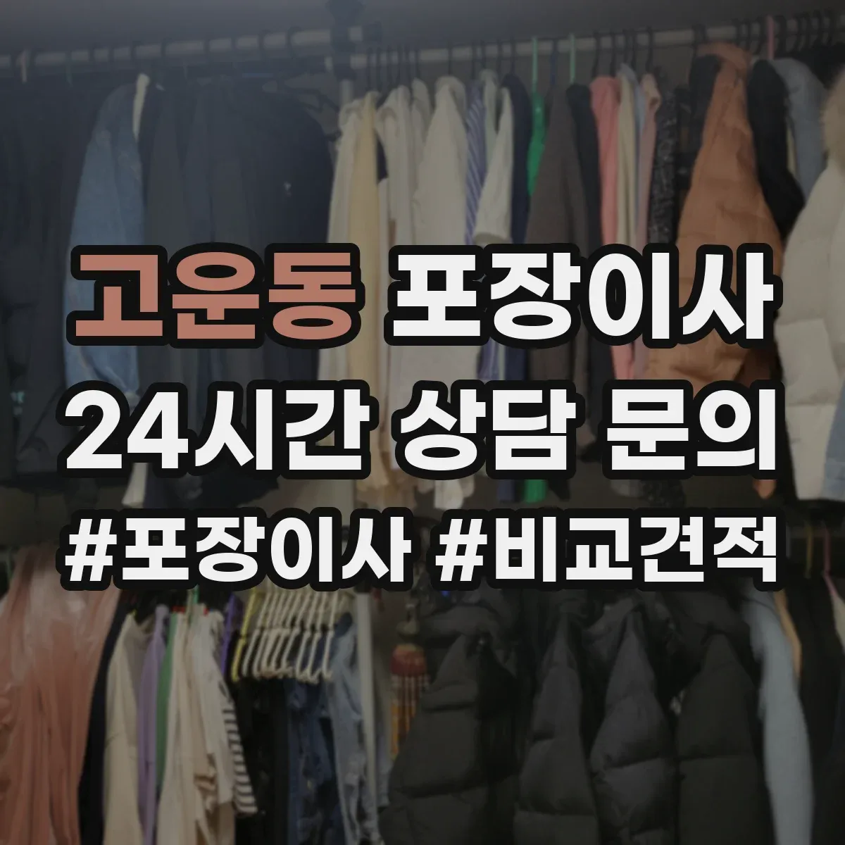 고운동 포장이사