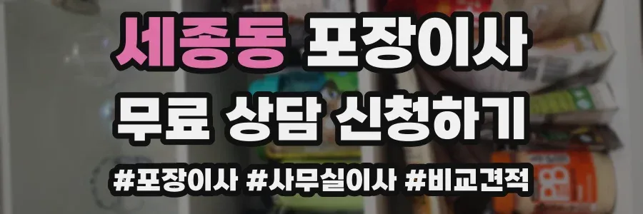 세종동 포장이사