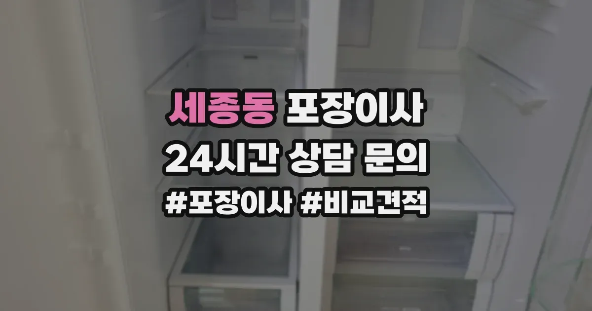 세종동 포장이사