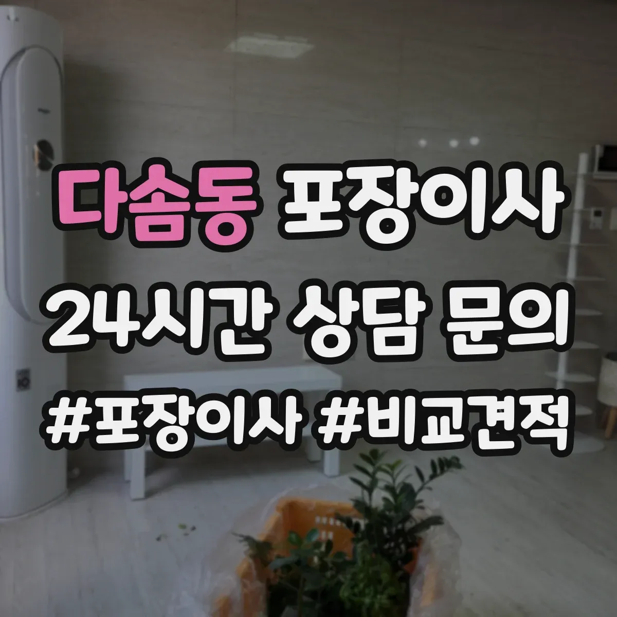 다솜동 포장이사