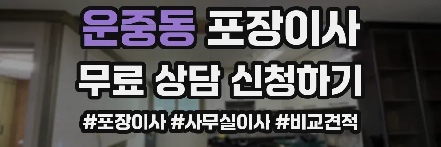 운중동 포장이사