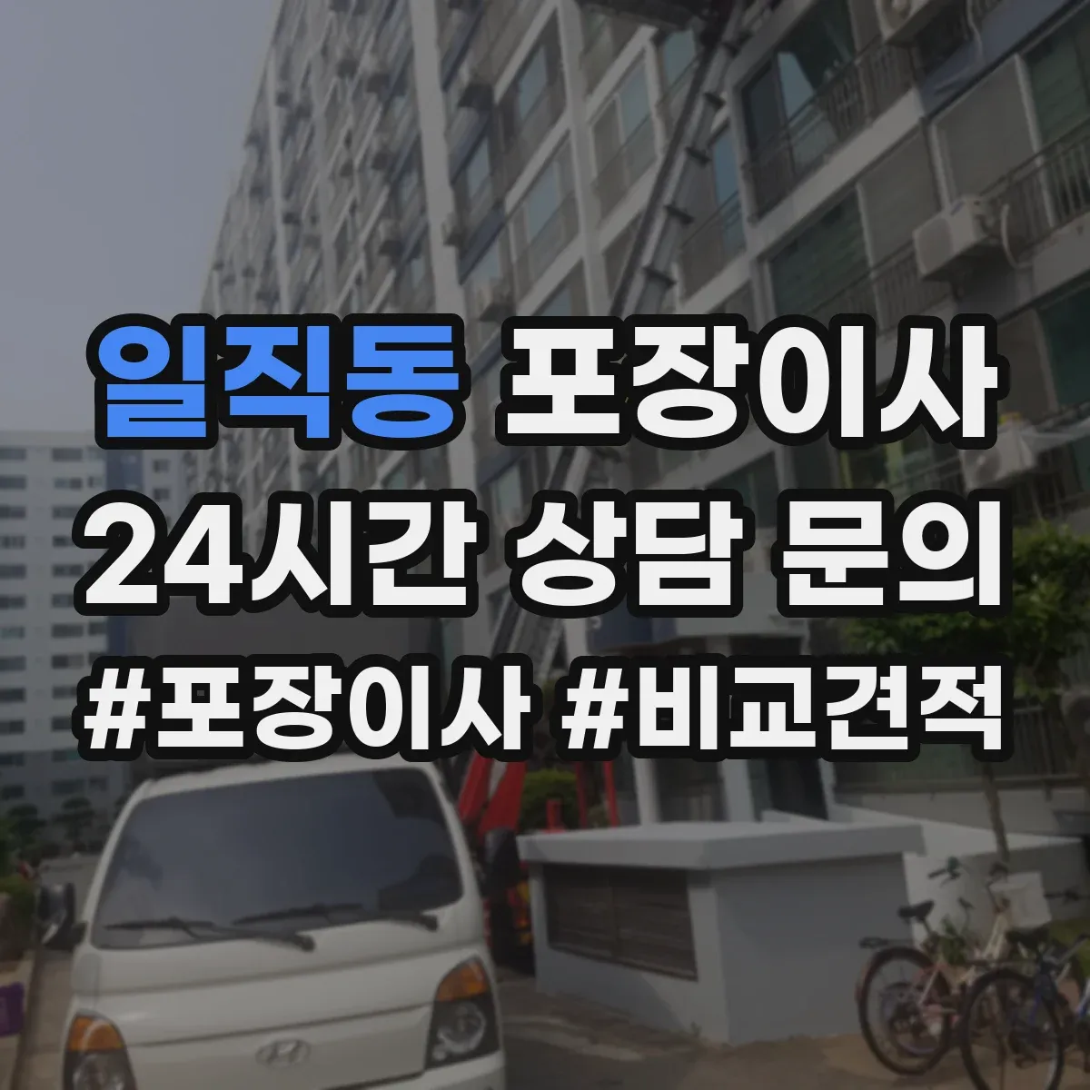 일직동 포장이사