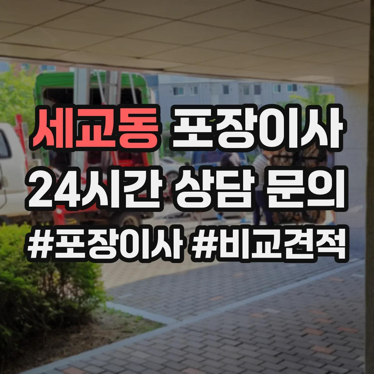 세교동 포장이사
